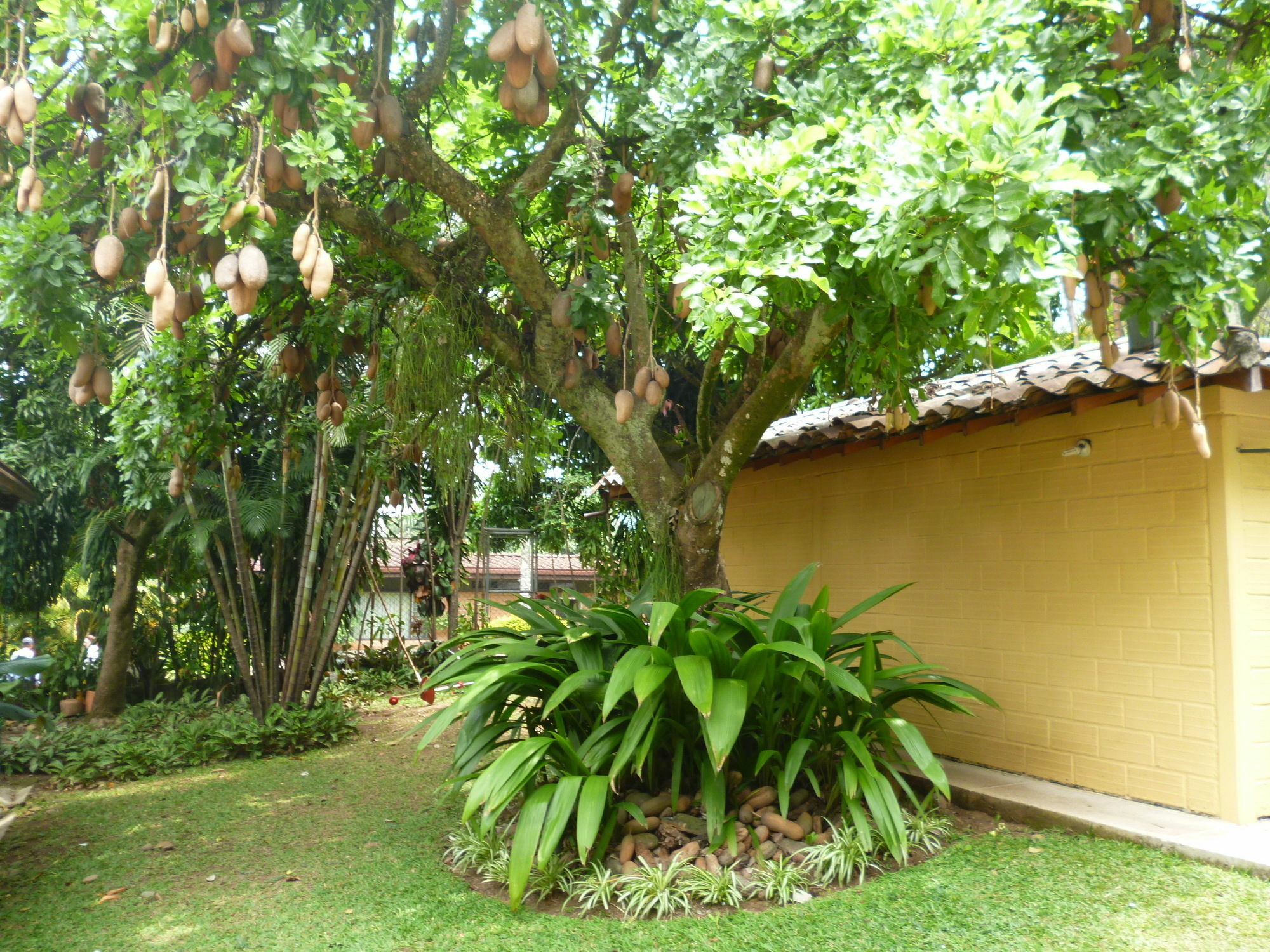 Hotel Poblado Campestre Медельин Экстерьер фото